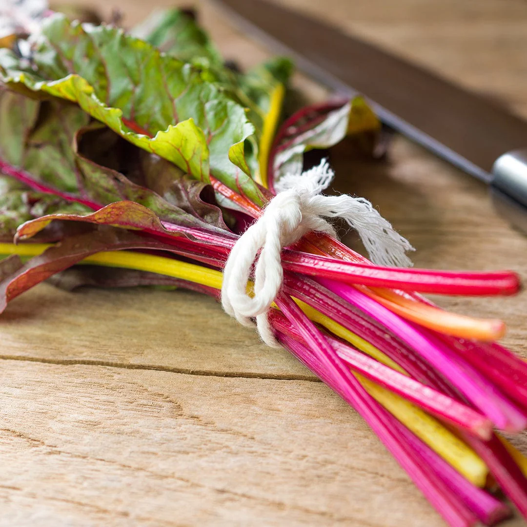 Organic Swiss Chard Seeds — 'Rainbow Mix' - Image 6