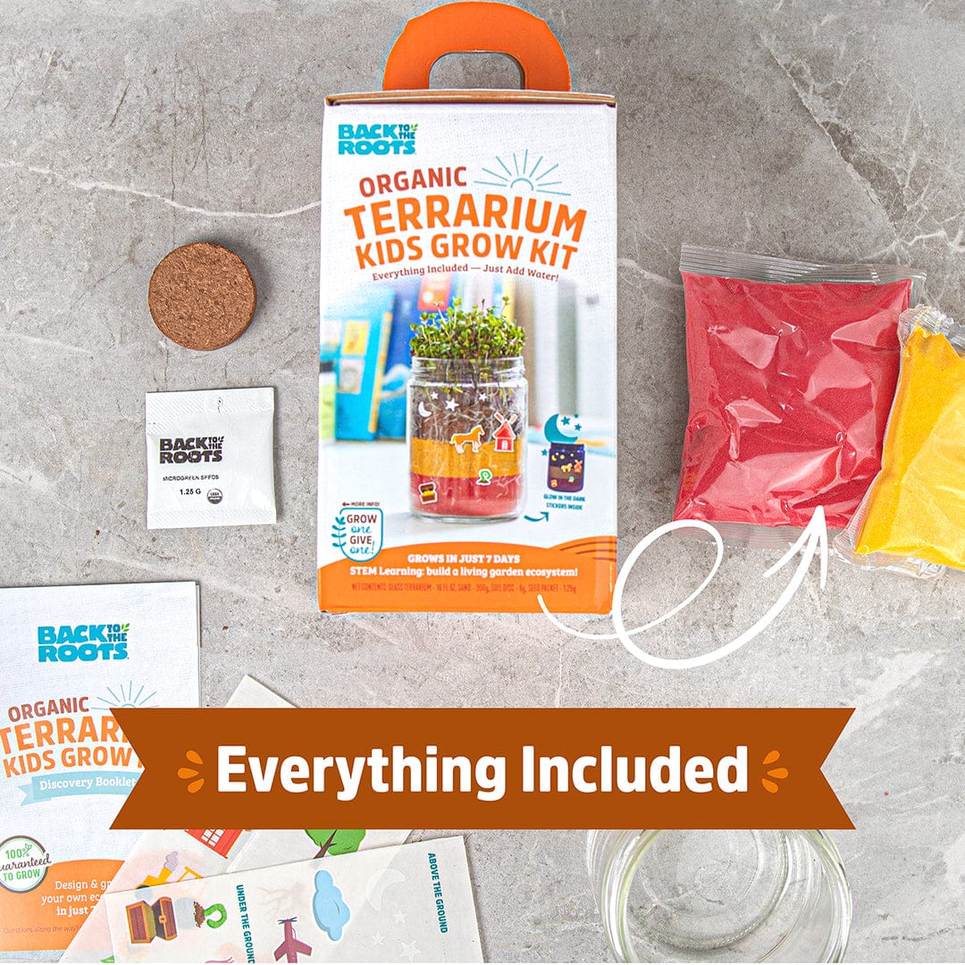 Organic Terrarium Kids Grow Kit 2pack bundle - Image 3