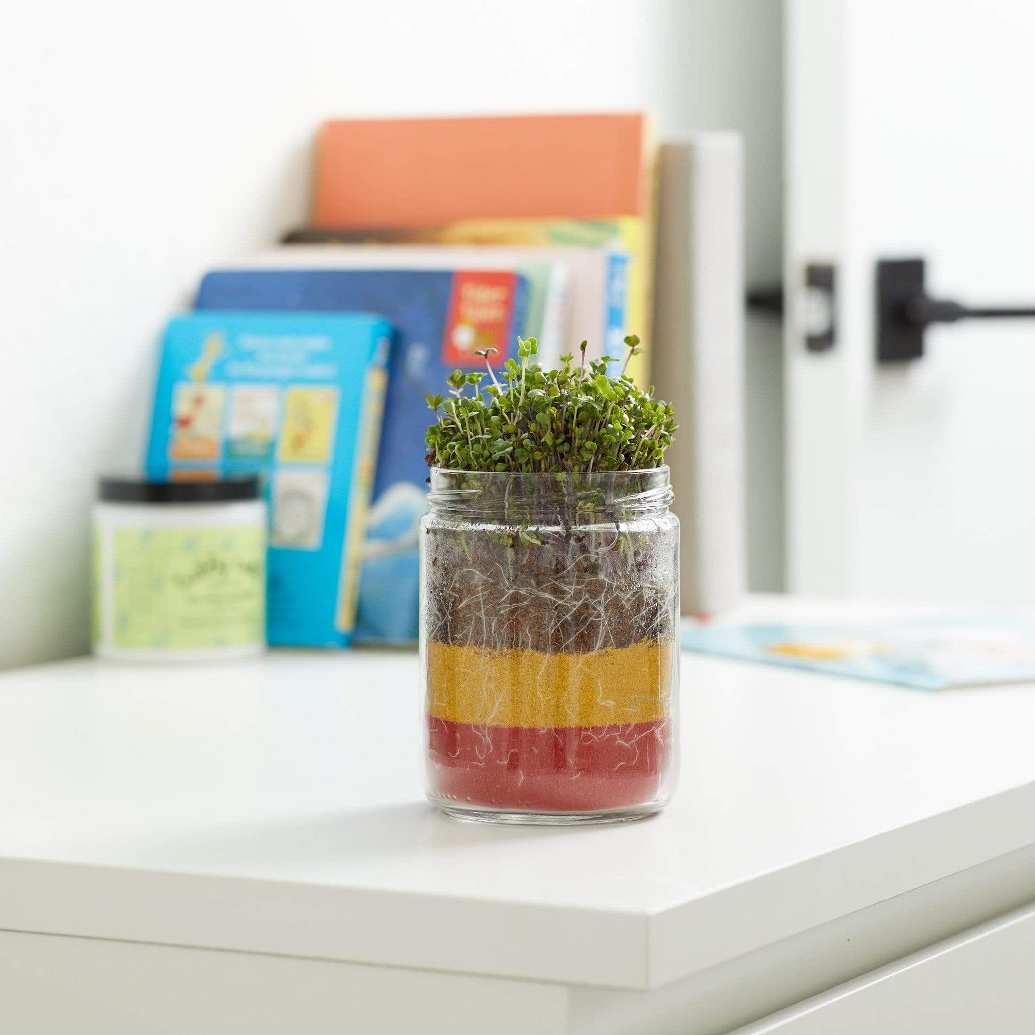 Organic Terrarium Kids Grow Kit 2pack bundle - Image 4