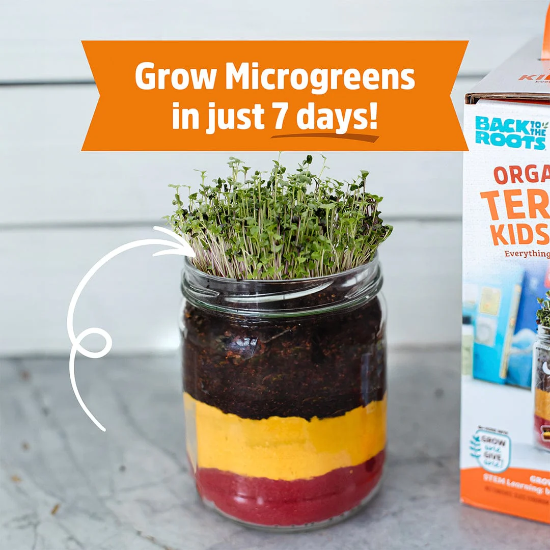 Organic Terrarium Kids Grow Kit 2pack bundle - Image 6