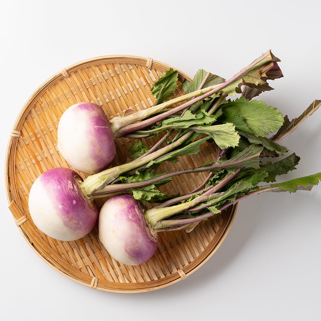 Organic Turnip Seeds — 'Purple Top White Globe' - Image 6