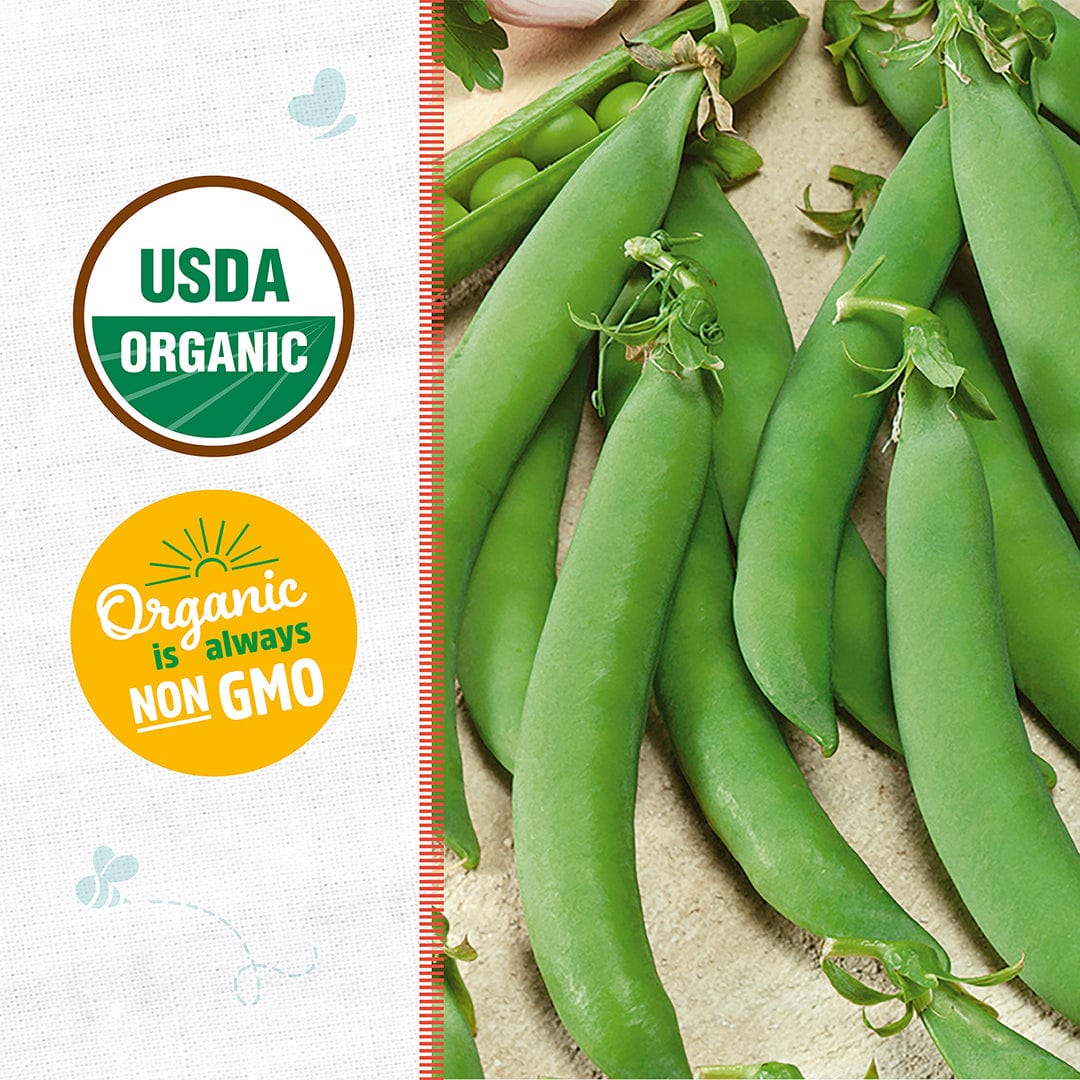 Organic Pea Seeds — 'Snap Sugar Daddy' - Image 2