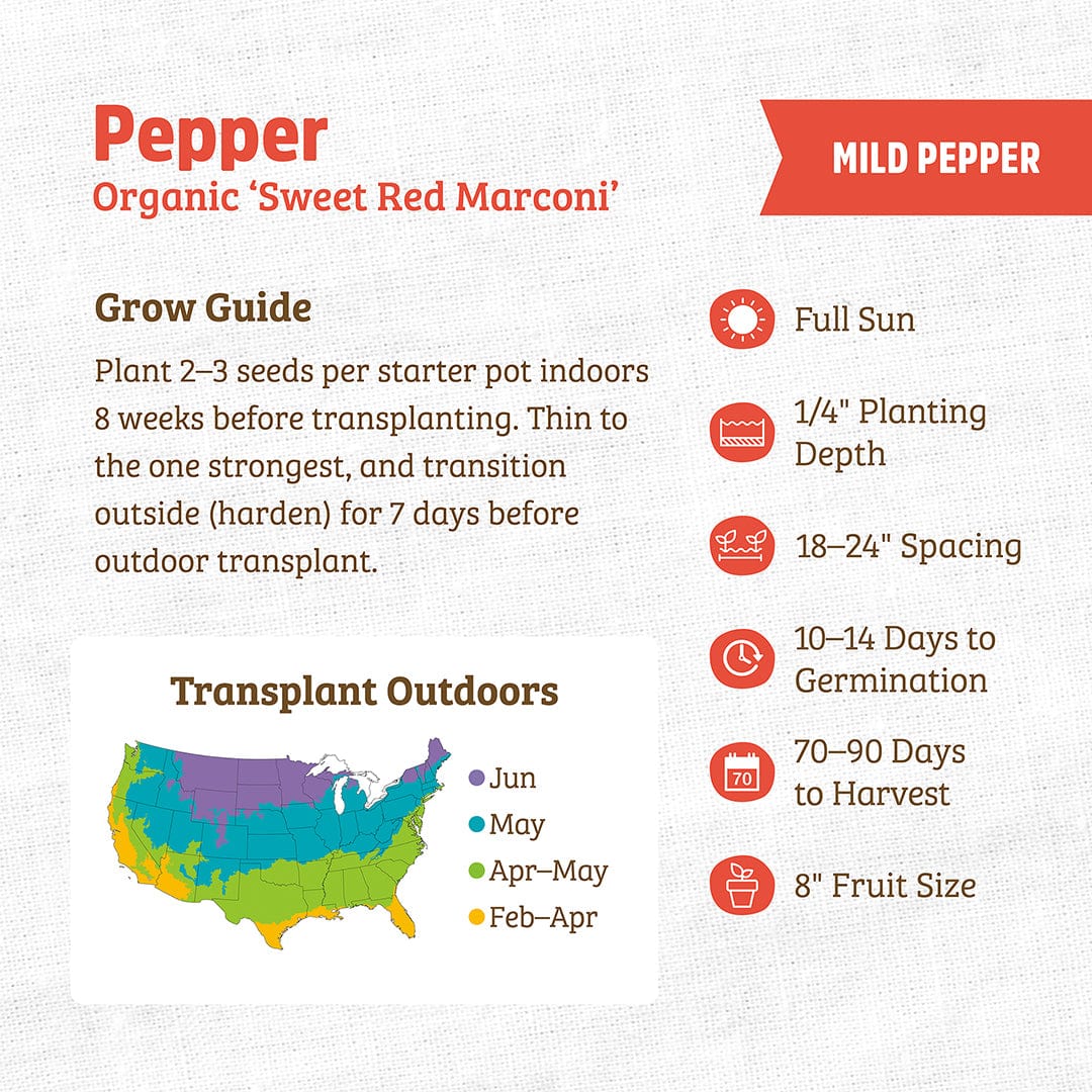 Organic Pepper Seeds — 'Sweet Red Marconi' - Image 3