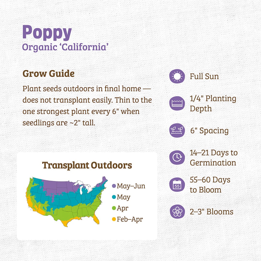 Organic Poppy Seeds — 'California' - Image 3