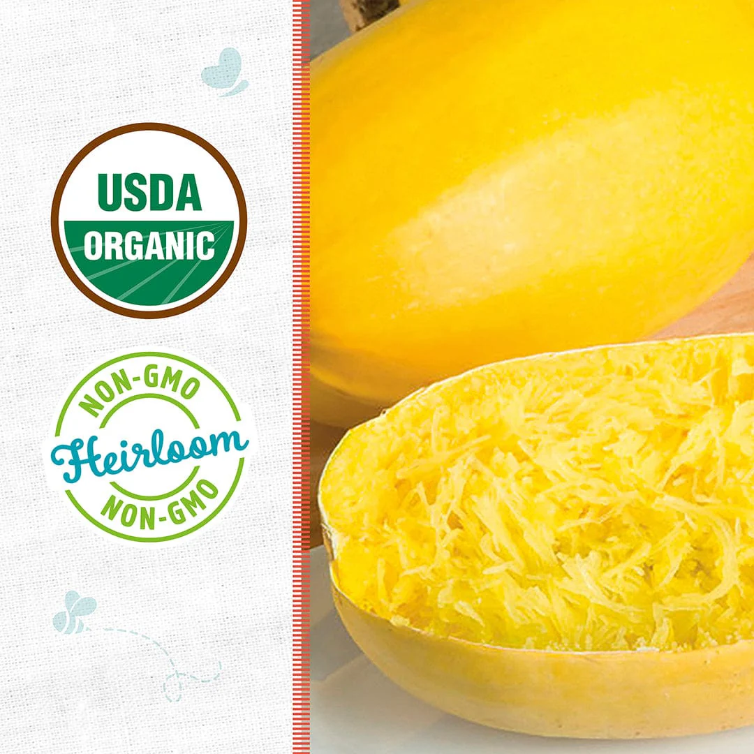Organic Squash Seeds — 'Spaghetti' - Image 2