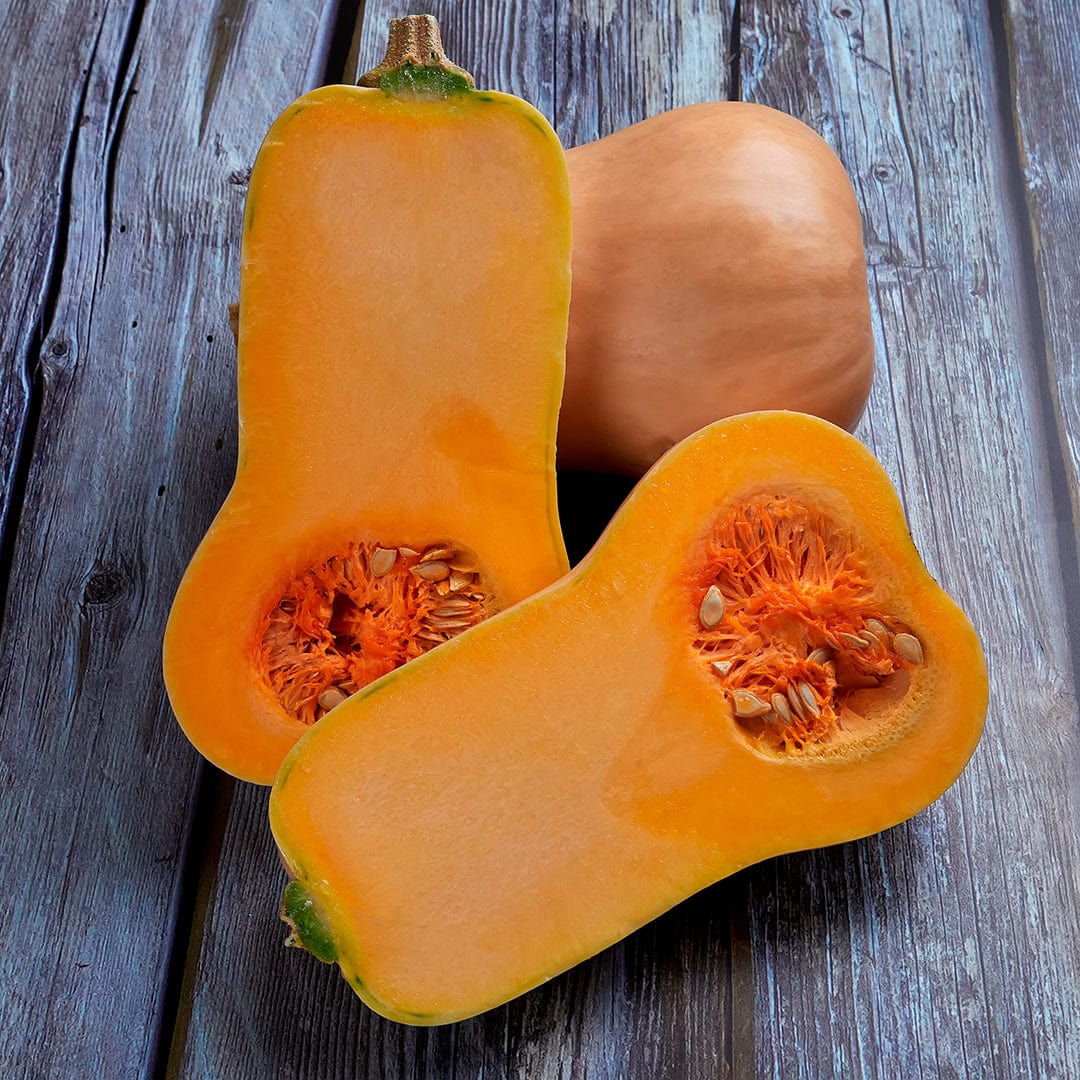 Organic Squash Seeds — 'Waltham Butternut' - Image 6