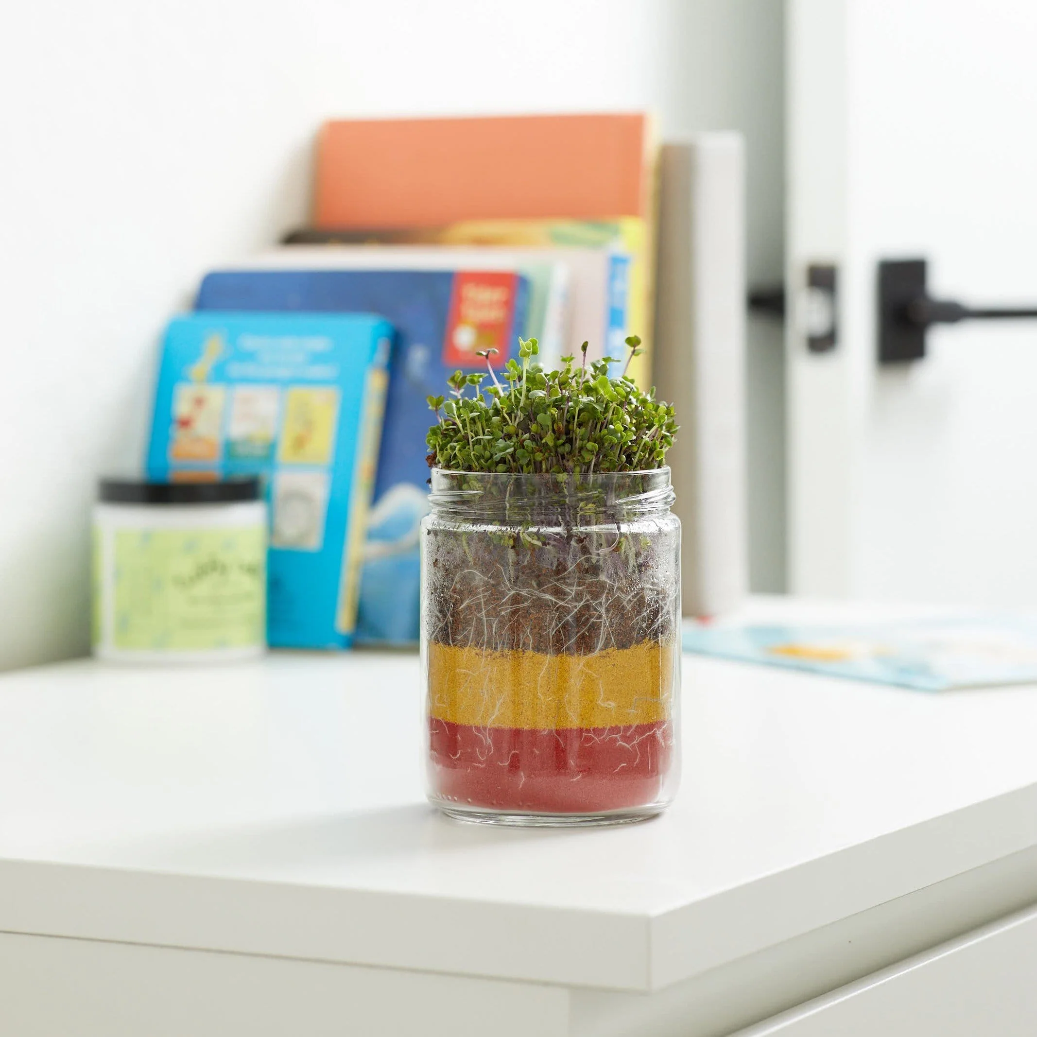 Terrarium Kids Grow Kit - Seeds & Soil Refill Pack - Image 3