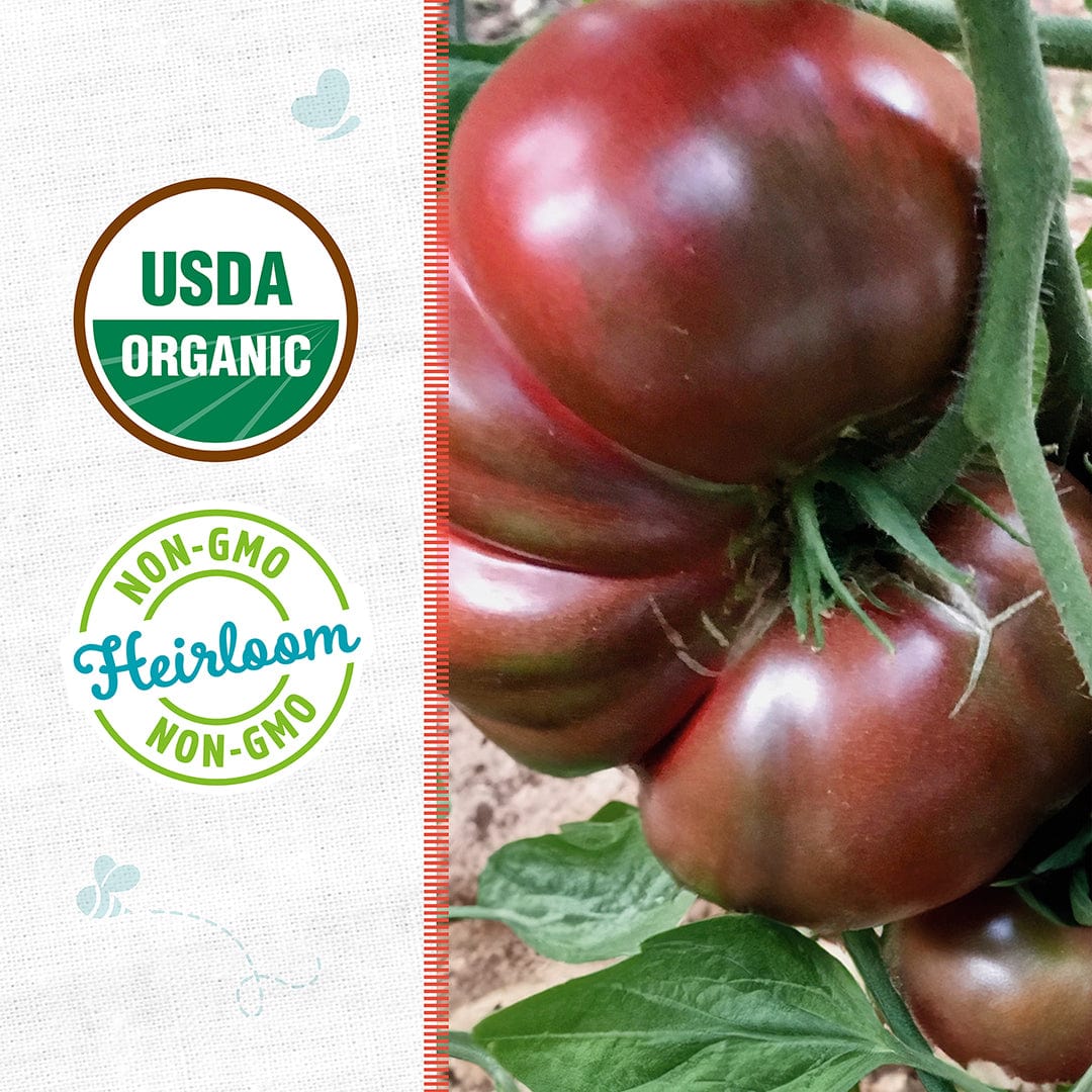 Organic Tomato Seeds — 'Cherokee Purple' - Image 2
