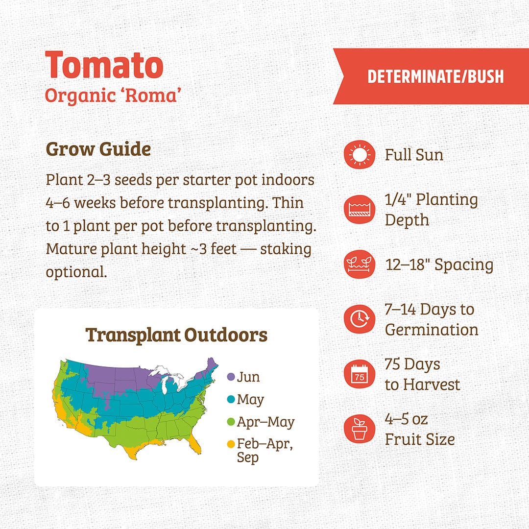 Organic Tomato Seeds — Roma - Image 3