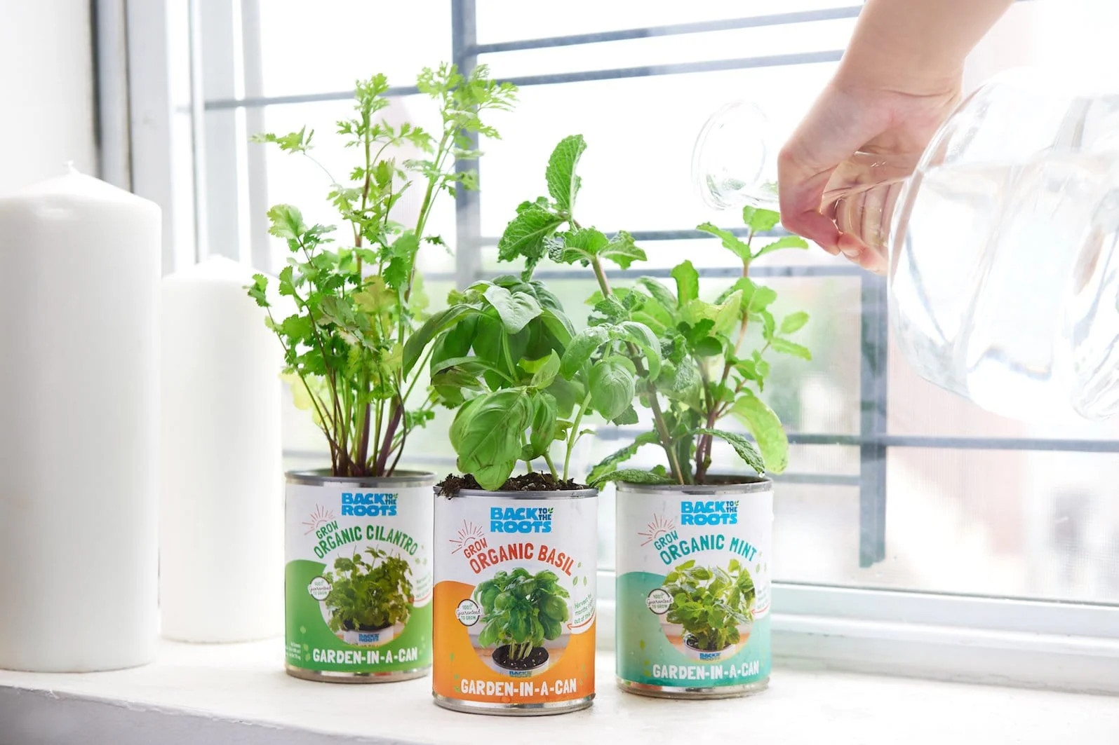 The Urban Homesteader Gift Set – Full Indoor Garden + Aquaponics Kit - Image 3