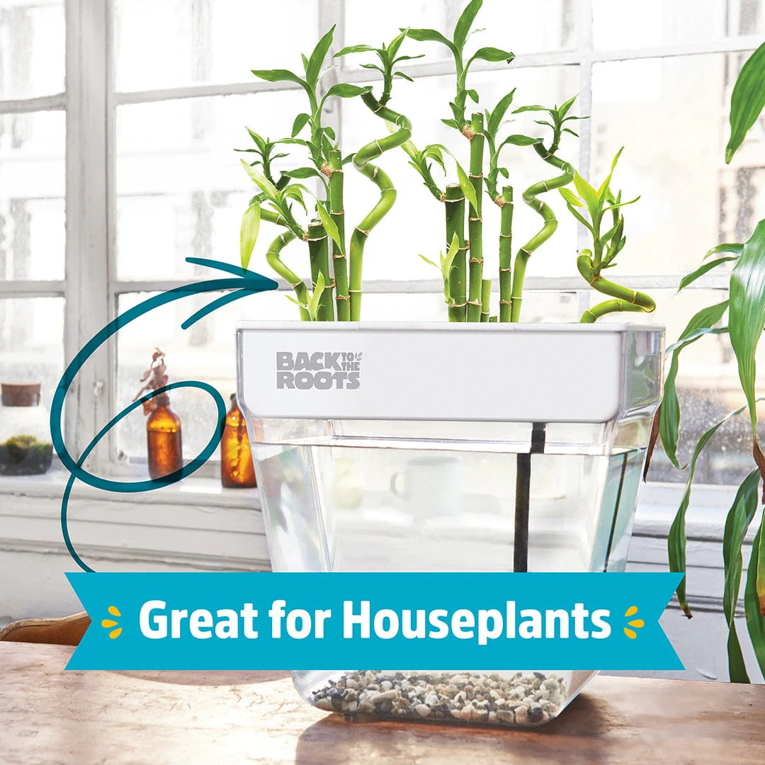 Water Garden Duo: Hydroponics / Aquaponics Ecosystem - Image 4