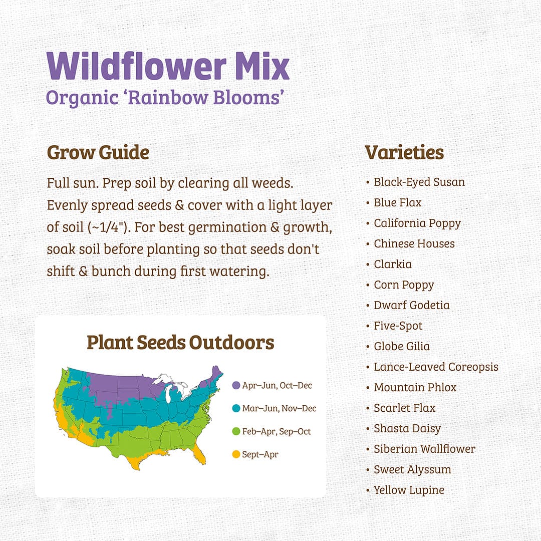 Organic Wildflower Seeds — 'Rainbow Blooms' - Image 3